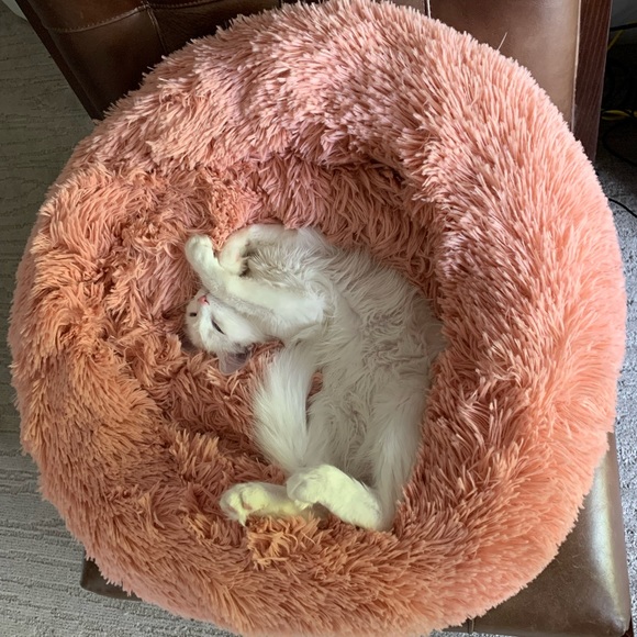 Calming Pet Bed (Dusty Pink/Rose) 50 cm (new, never used) - Picture 2 of 2